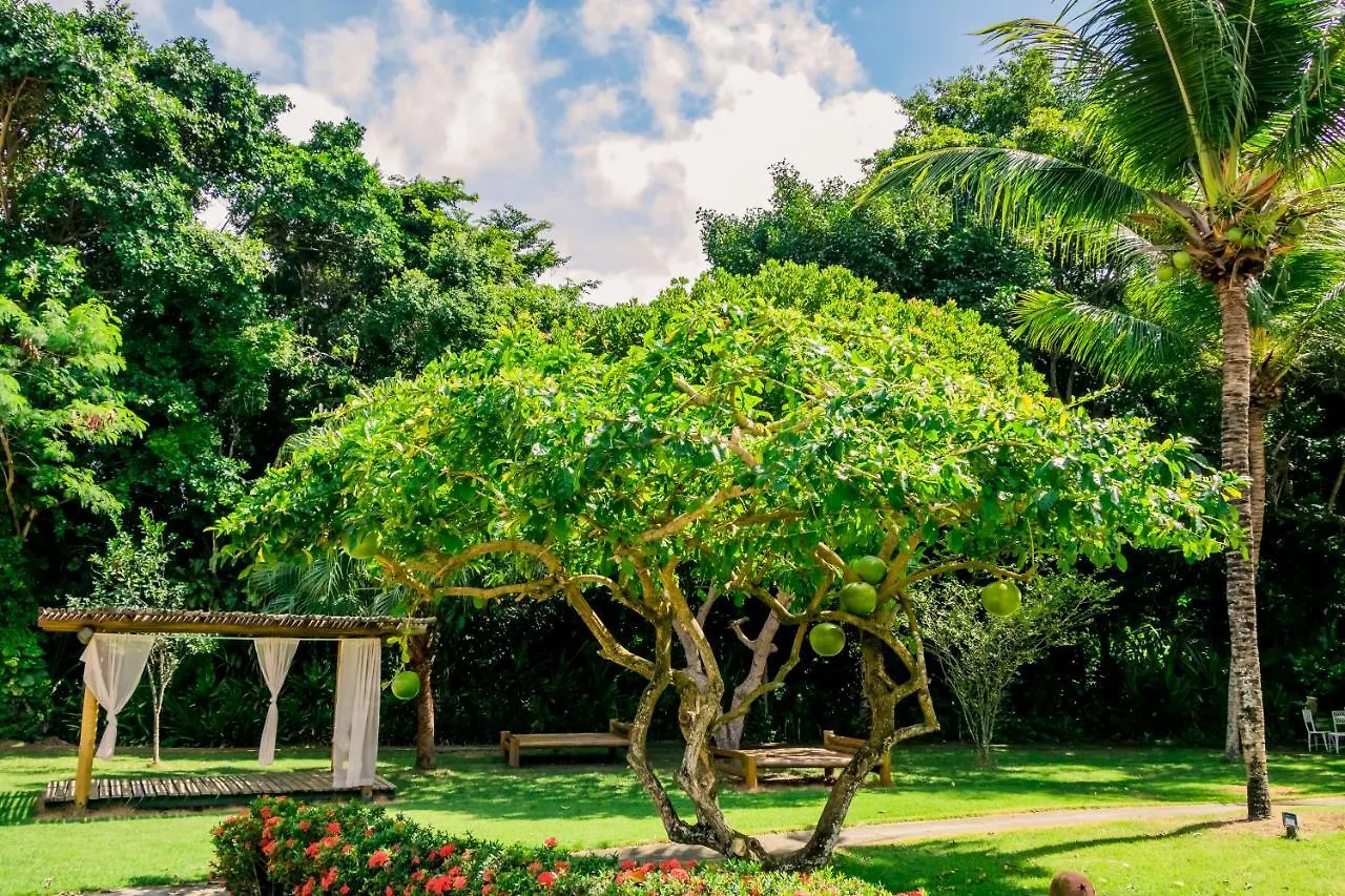 Bosque Do Porto Praia Hotel Porto Seguro